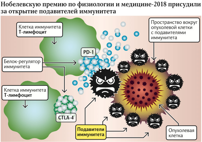 Подавители иммунитета