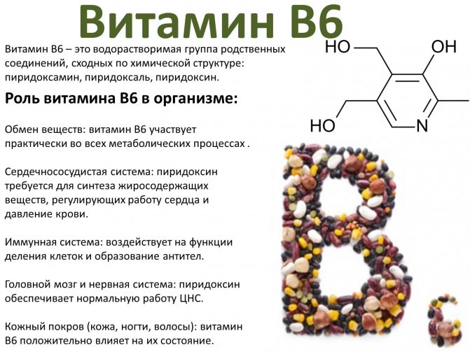 Функции витамина B6