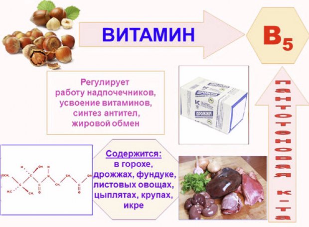 Источники и свойства витамина B5 (пантотеновая кислота)