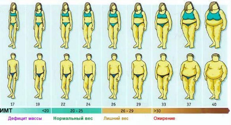 Ожирение и ИМТ