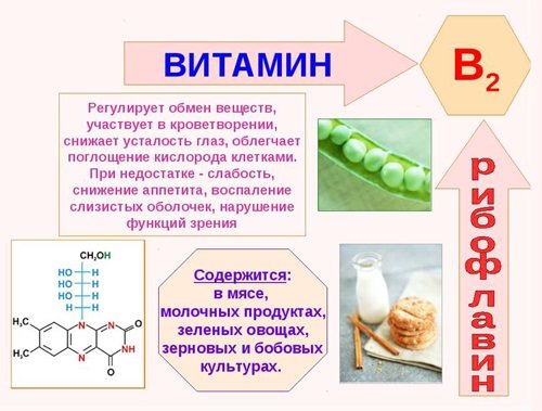 свойства и источники витамина В2 (рибофлавин)
