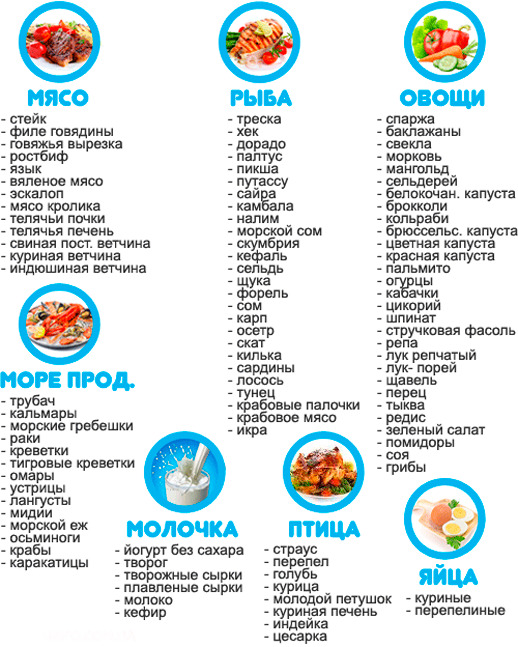 Примеры белковых продуктов