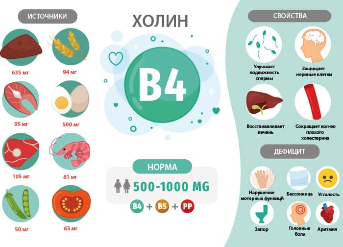 Источники и свойства холина (Витамин B4)