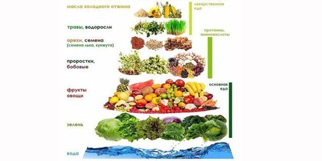Вегетарианская диета структура продуктов